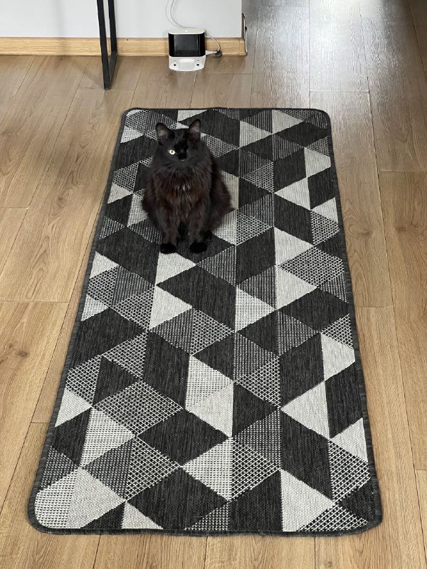 Ковры 65х200 и 120х170 безворсовые