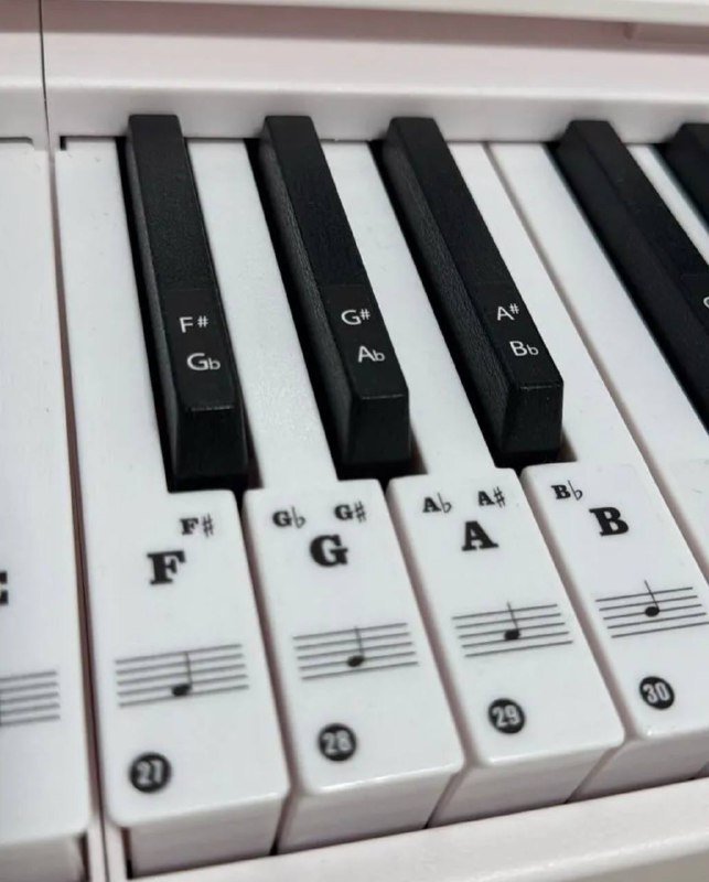 Цифровое пианино 88 клавиш с аксессуарами 2