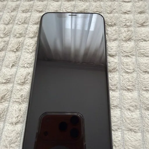 iPhone XS 256GB