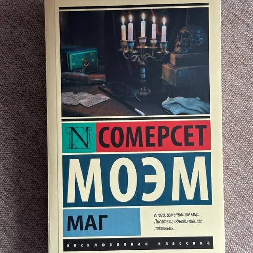 Книги Сомерсета Моэма, Сары Мэннинг, Роберта Зарецки и других