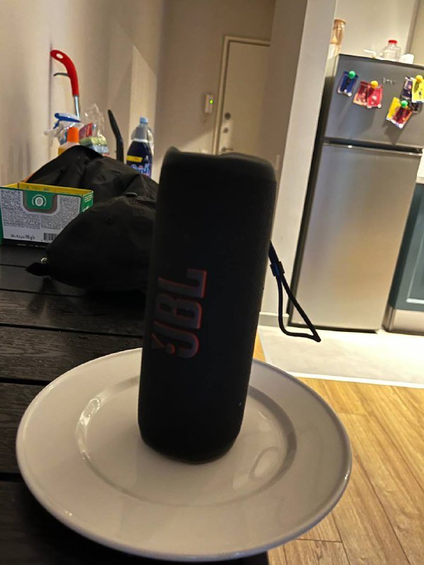 колонка JBL Flip 6