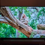 OLED телевизор LG OLED48C12LA 48" 2