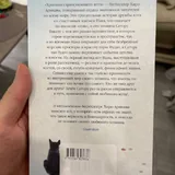 Хроники странствующего кота 2