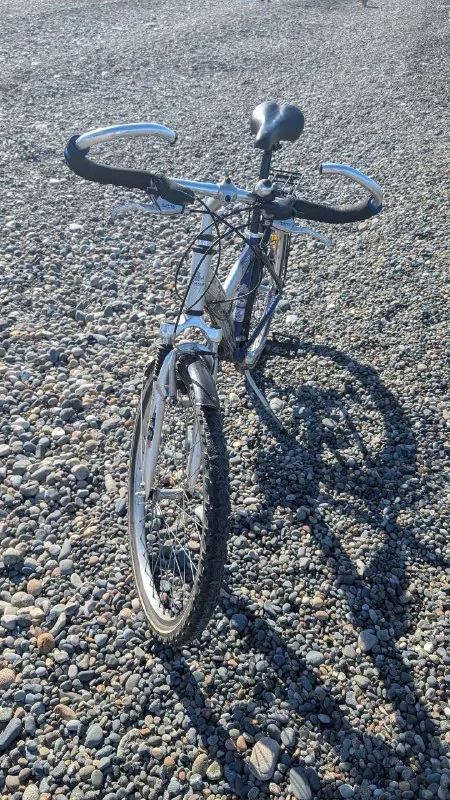 Велосипед Pegasus Power S 1