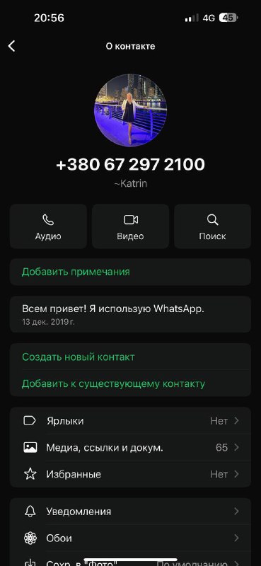 Блендер, капучинатор, банки, хлебница 2