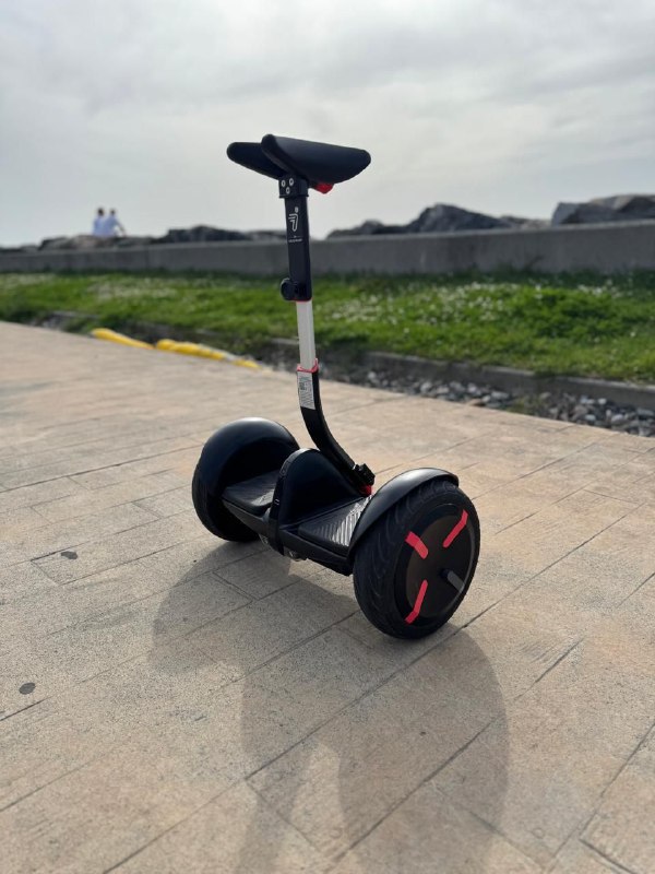 Гироскутер Segway ninebot miniPro 2