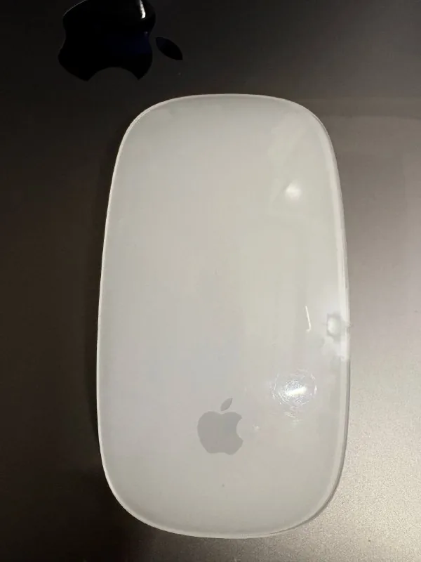 Apple Magic Mouse Lightning 1