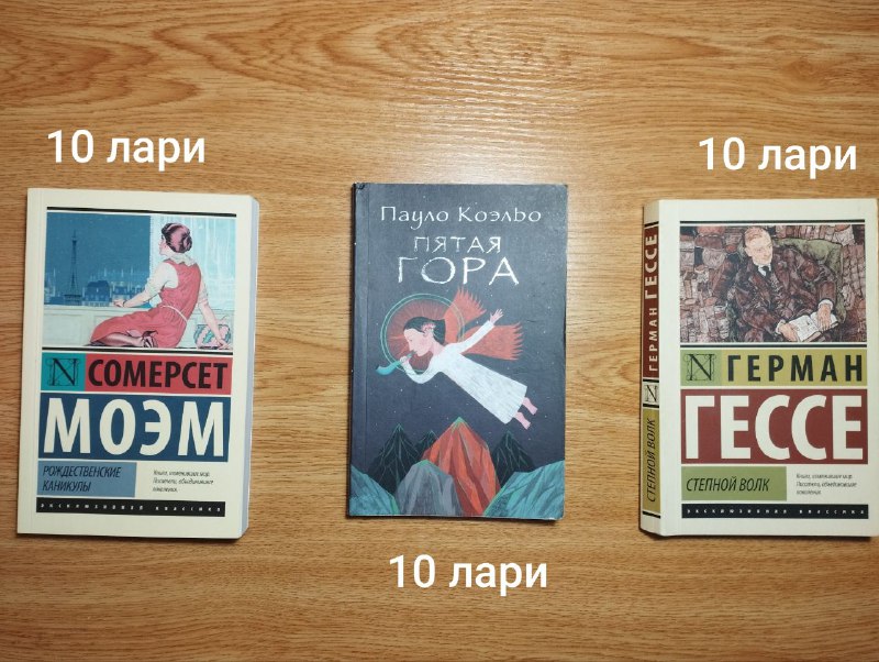 Книги: Ночь в Лиссабоне, Записки на манжетах, О мышах и людях, Пикник на обочине, Феномены мозга, Хищные вещи века, Рождественские каникулы, Пятая гора, Степной волк 3