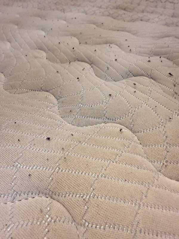 Матрас Duson 200x160x25 см 3