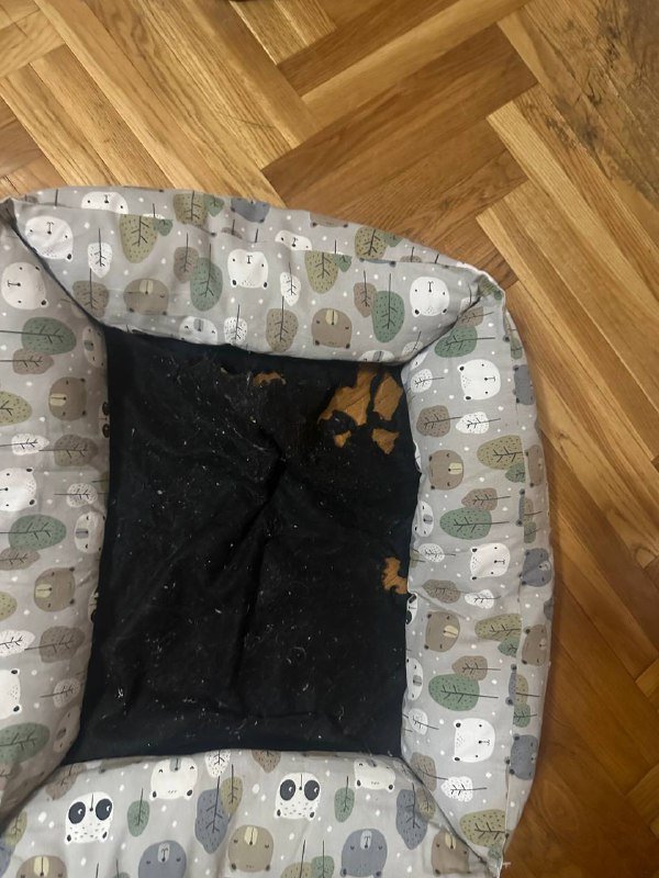 Apple Watch ремни, хьюмидор, мониторы Lenovo, лежанка для собаки, увлажнитель Xiaomi 9