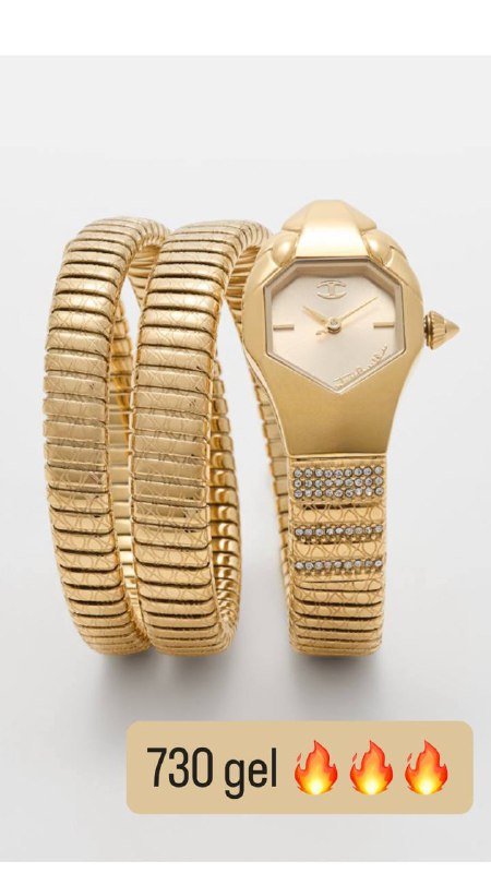 Часы Just Cavalli 4