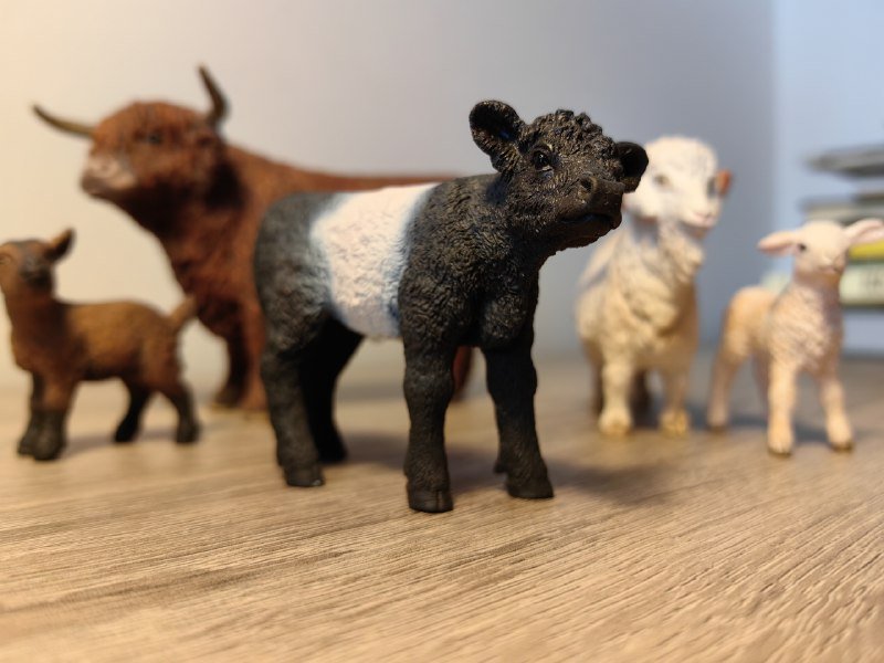 коллекционные фигурки животных Schleich 6