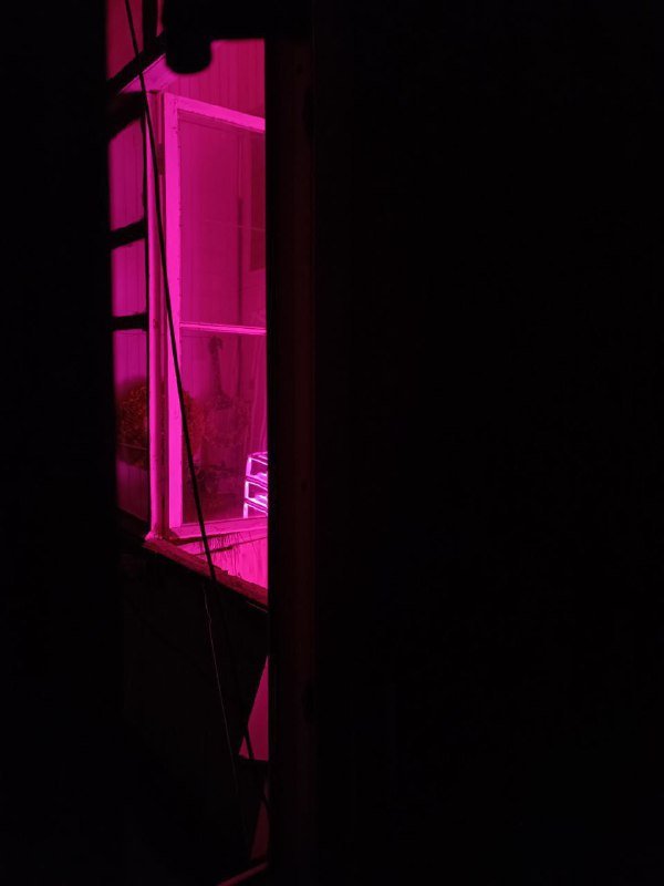Неоновая полка с фитолампами ручной работы 6