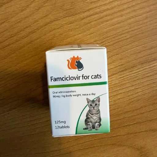 Famciclovir для кошек, 10 пачек