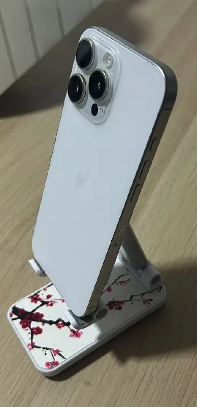 iPhone 16 Pro Max 1