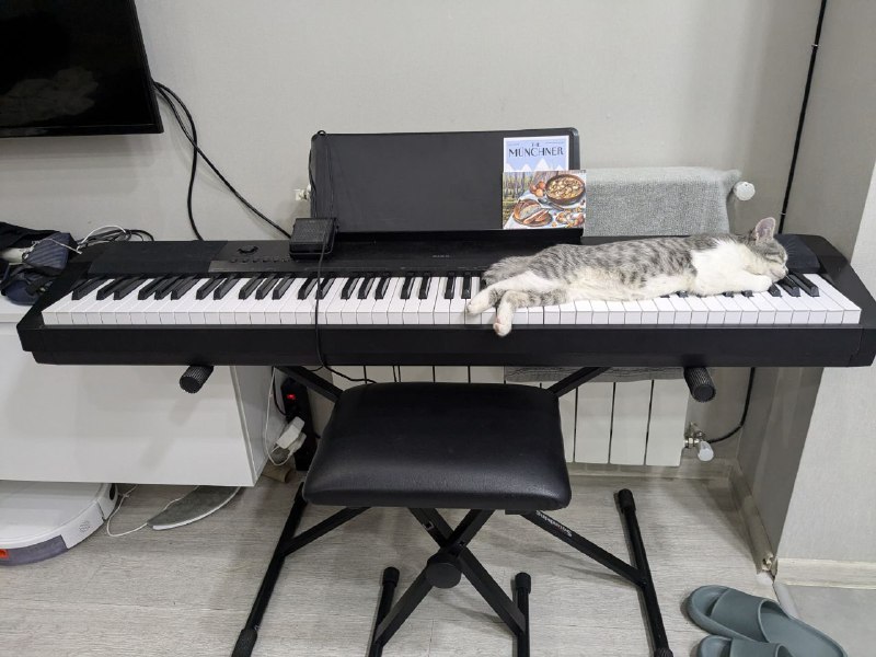 Цифровое пианино Casio со стойкой и стулом 2