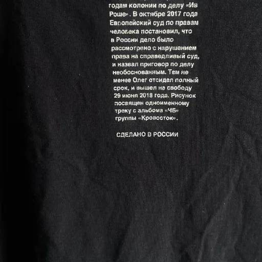 Чоловіча футболка «Злі голуби»