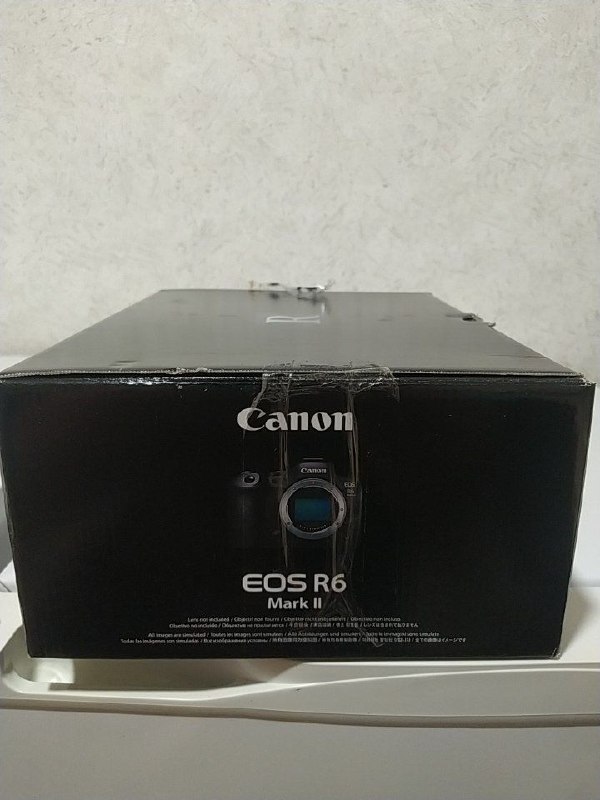 Eos Canon r6 mark 2