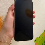 iPhone 16 Pro Max 256 ГБ 5