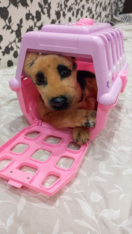 Игрушки мягкие собачки, переноски 2