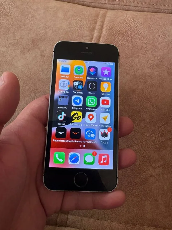 iPhone SE 1