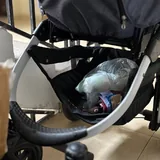 Коляска MyJunior 3 в 1 8