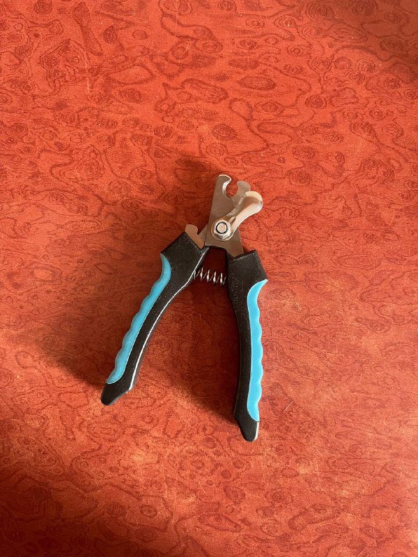 шампунь для собак и кошек, коврик силиконовый, ножницы для когтей, маленький Kong, жевательные палочки 3