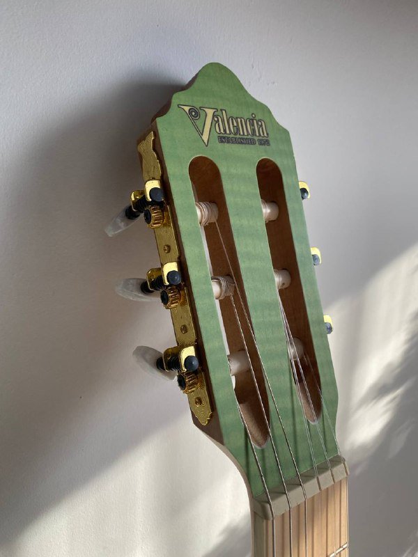 Гитара Valencia, чехол 4