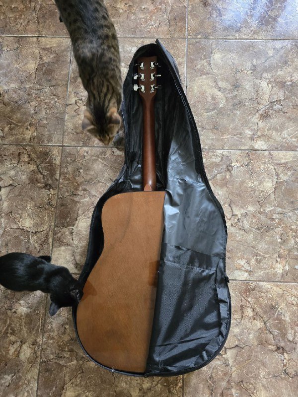 Гитара YAMAHA F310, чехол 3