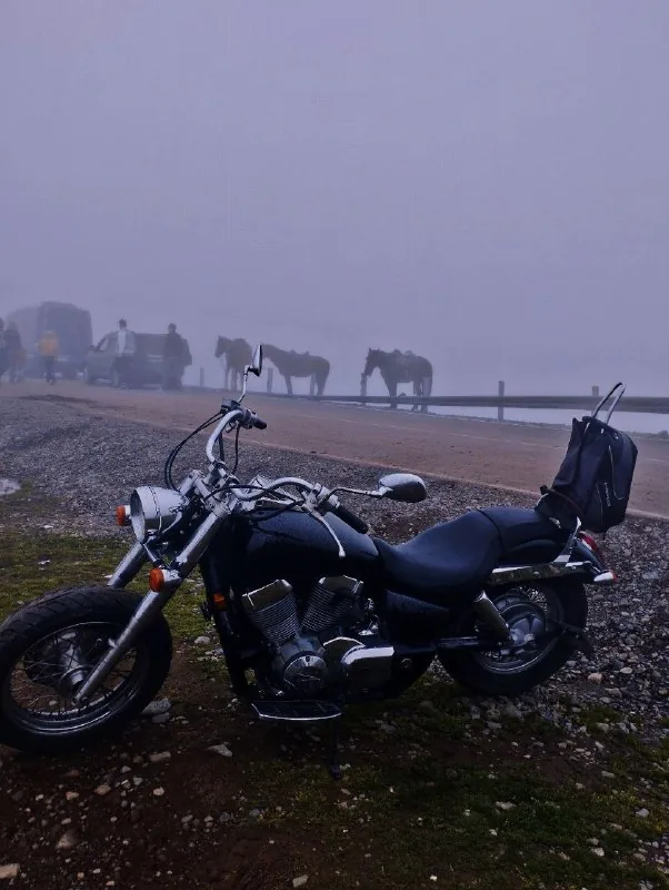 Honda Shadow 750VT, 2012 г.в. 1