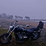 Honda Shadow 750VT, 2012 г.в. 1