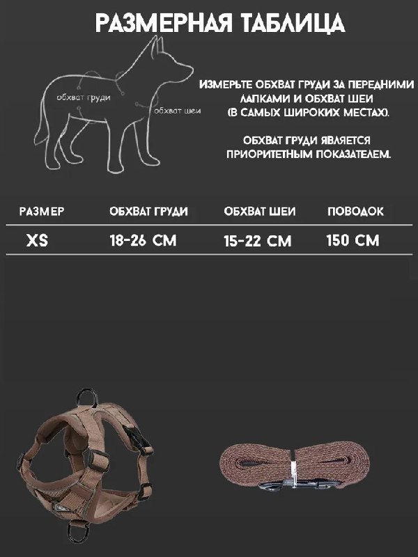Шлейка для собак мелких и средних пород 3