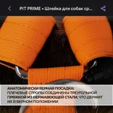 Материнская плата, игровая мышь, шлейка для собак, мужская одежда 6