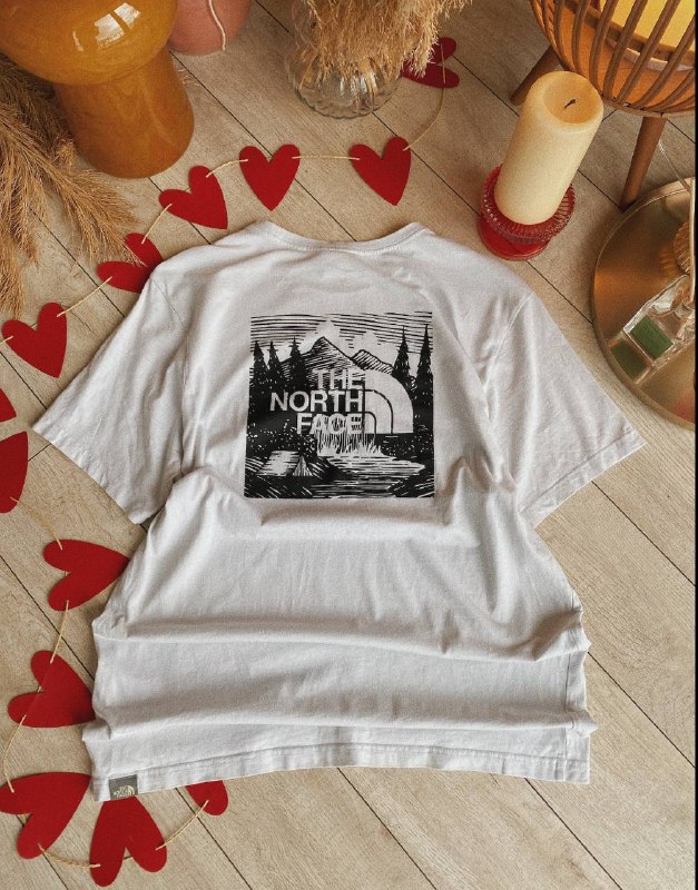Футболка The North Face 2