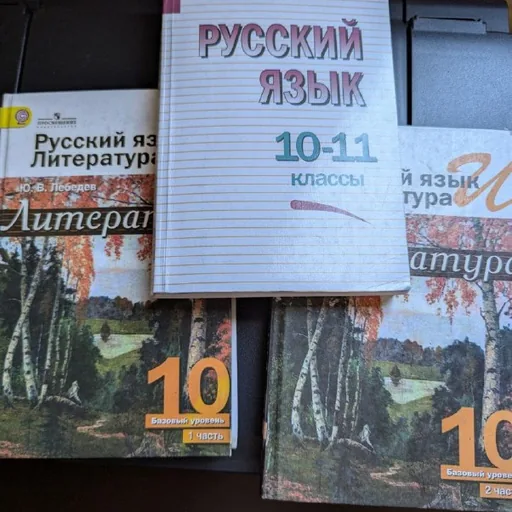 Учебники для 10 класса, русский язык, литература
