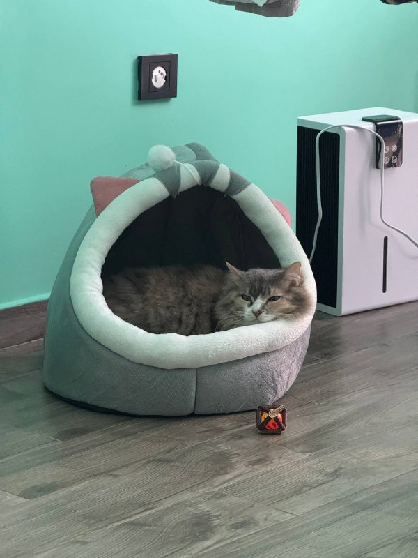 Лежанка для кошек размер Л 1