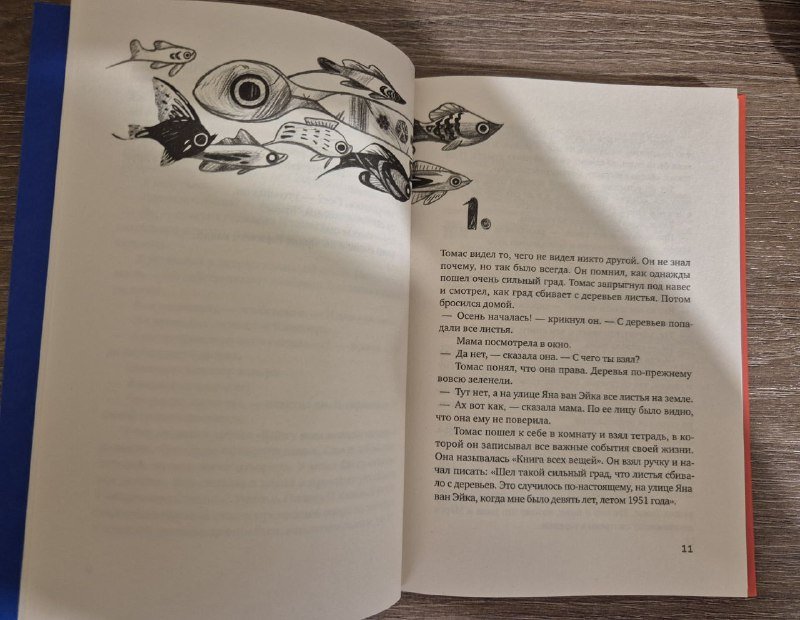 Детская книга Книга всех вещей Гюс Кёйер 4