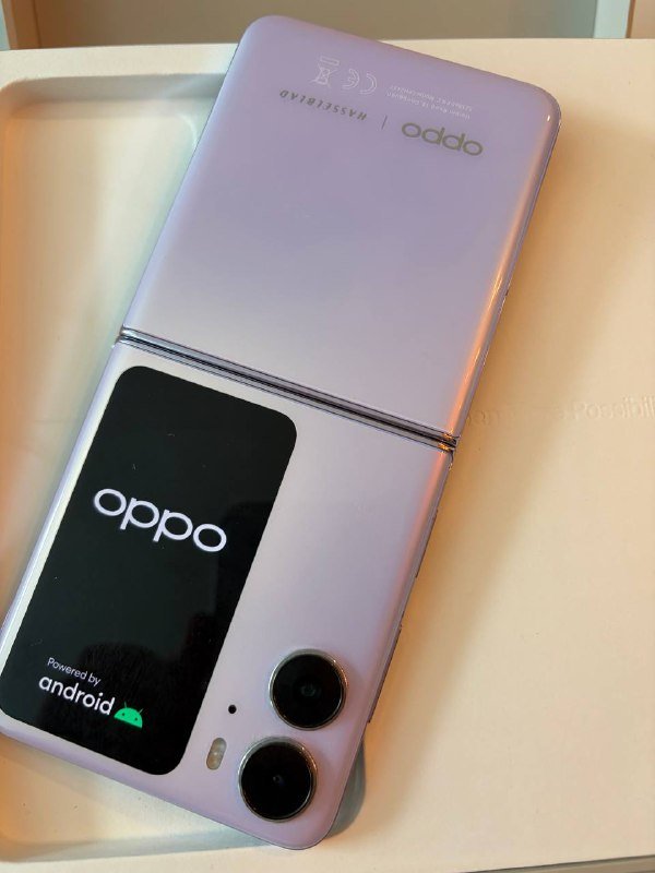 OPPO Find N2 Flip 5G, 8 ГБ, 256 ГБ 4