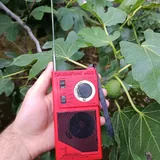 Радиоприемник Олимпик 402 2