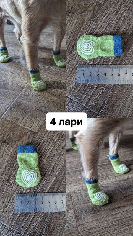 Обувь и носки для маленькой собаки 9