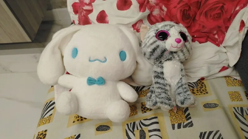 Заяц, кот