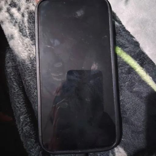 Айфон 13 Pro Max