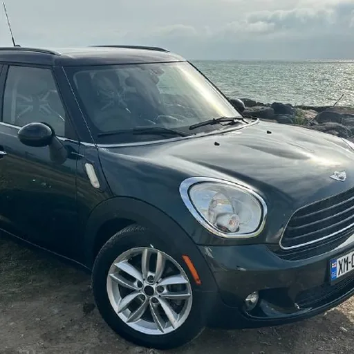 Mini Countryman 2011