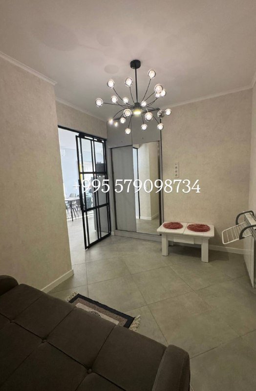 3х комнатная квартира с 2 спальнями в аренду 5