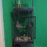 Large parrot cage with accessories 2