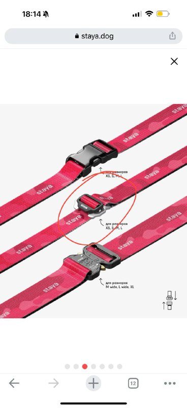 шлейка и поводок для собак Staya Dazzle Pink размер S 2