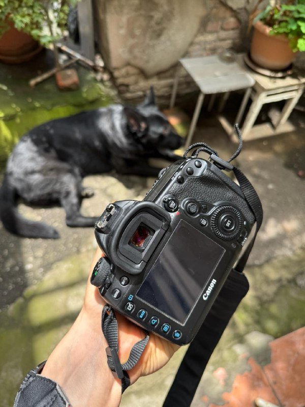 Фотоаппарат Canon 5d mark IV с объективом Tamron 45mm 1.8 3
