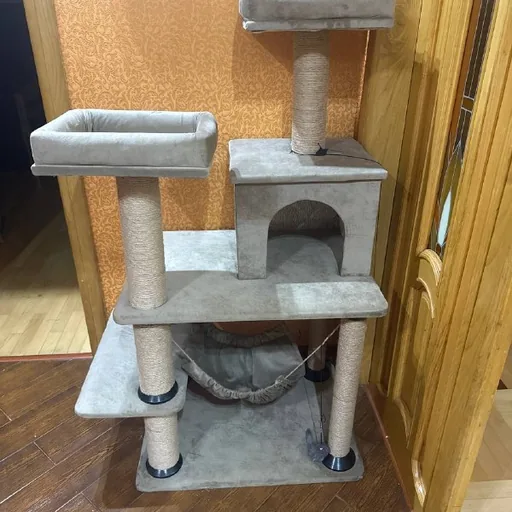 Когтеточка