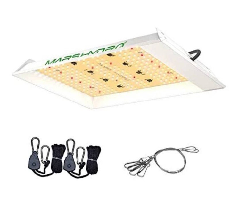 2 гроу бокса 60х60х180 с лампами Spider Farmer и MarsHydro 3