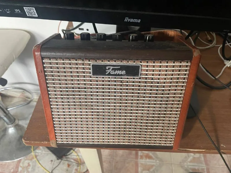 Портативный комбоусилитель Fame AG-15A 1